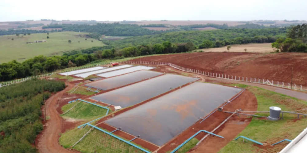 Nas propostas recebidas pela Compagas, produção do biometano pode vir do agronegócio, por meio da suinocultura, da bovinocultura e da avicultura