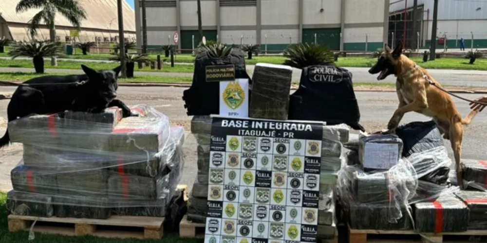 O cão de faro Arius farejou o veículo e indicou entorpecentes no semirreboque