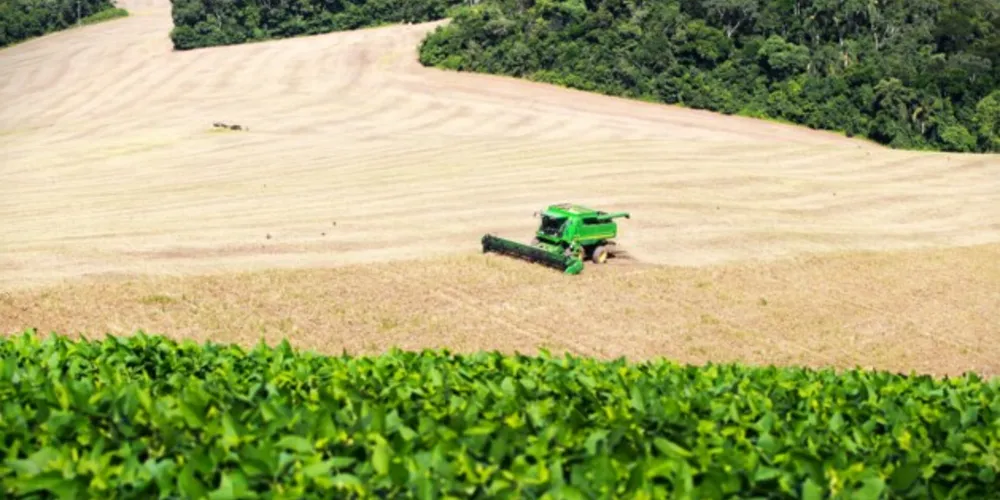 Em 2022, estado foi líder na produção de proteína animal e ganhou o maior frigorífico de suíno da América Latina