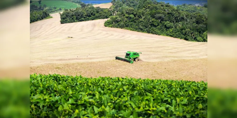 Em 2022, estado foi líder na produção de proteína animal e ganhou o maior frigorífico de suíno da América Latina