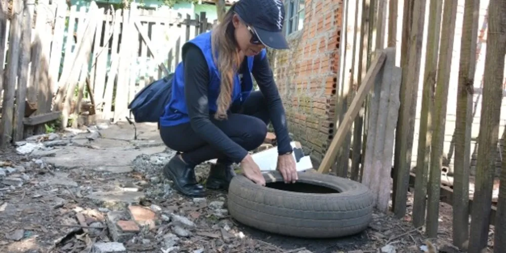 Focos do Aedes aegypti estão em ambiente domiciliar