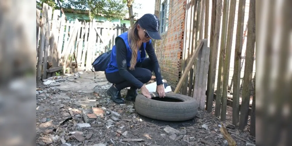 Focos do Aedes aegypti estão em ambiente domiciliar