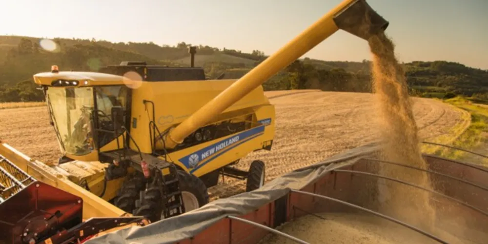 Produção de soja correspondeu a 32,5% de todo o VBP dos municípios da região dos Campos Gerais