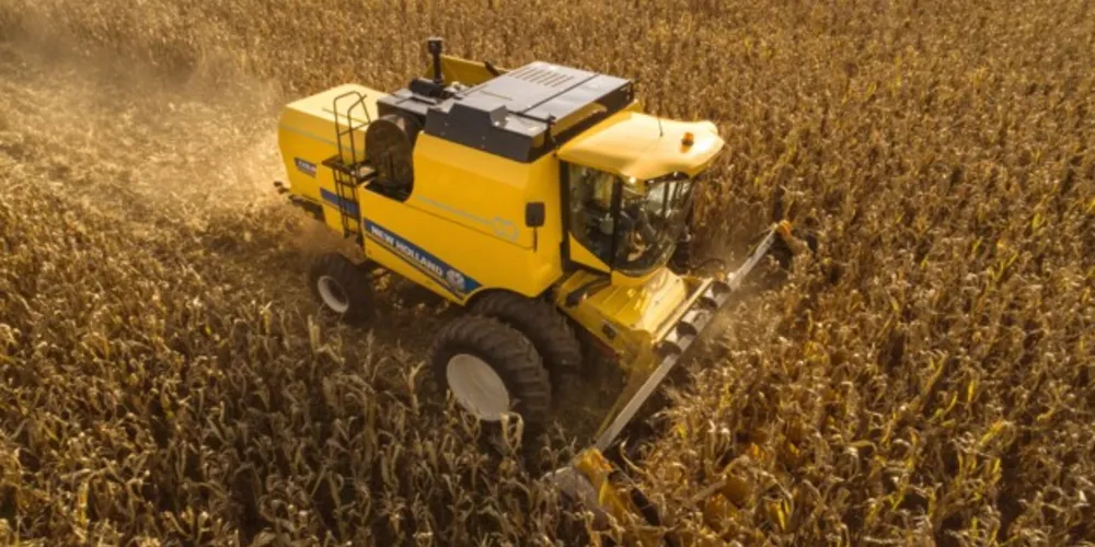 Projeção é de que os municípios da região alcancem a colheita de 1 milhão de toneladas no milho