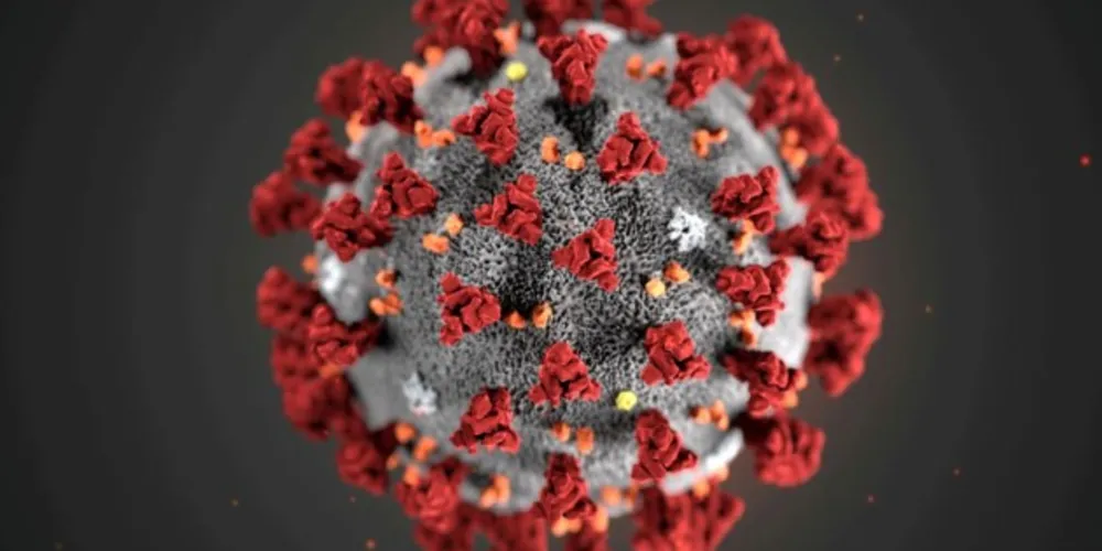 O dado sobre órfãos é uma parte da análise dos pesquisadores sobre a mortalidade causada pela pandemia de covid-19 em toda a população