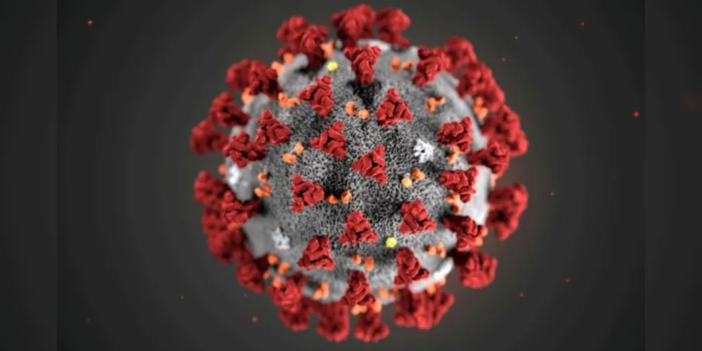 O dado sobre órfãos é uma parte da análise dos pesquisadores sobre a mortalidade causada pela pandemia de covid-19 em toda a população