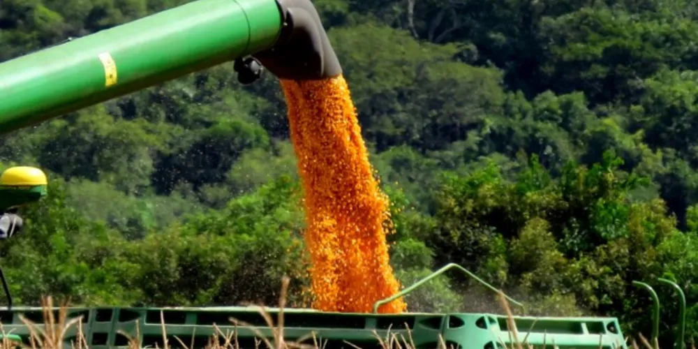 Maior movimentação alcançada no mês de janeiro até então tinha sido registrada em 2016, quando o país enviou 4,4 milhões de toneladas