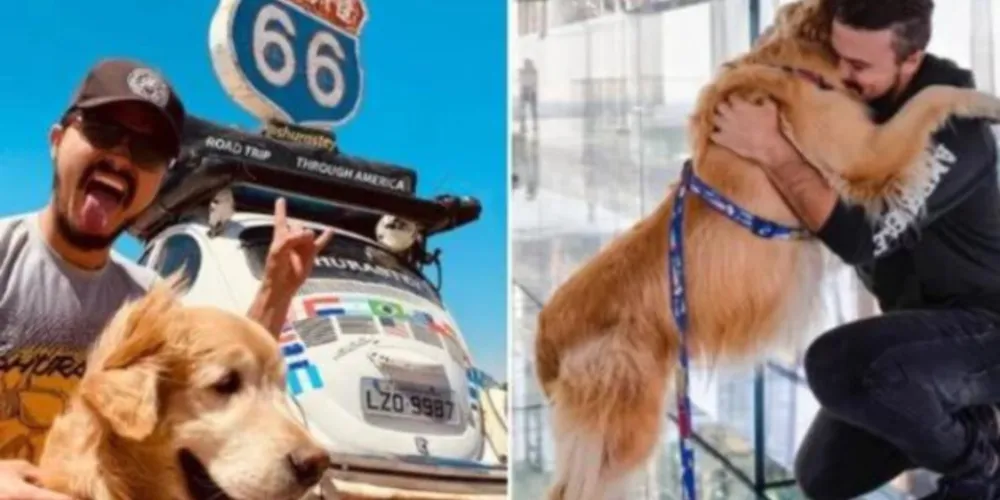 História de influenciador e cachorro mortos em viagem vai virar filme