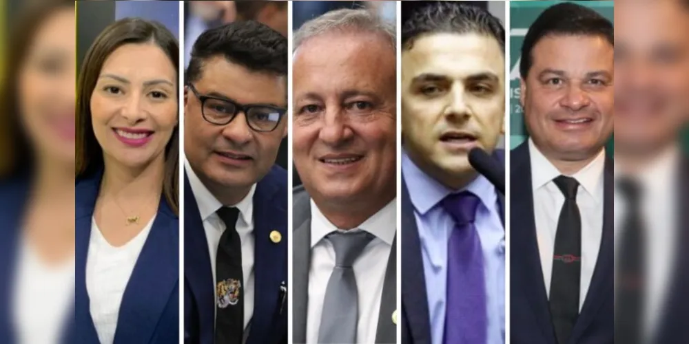 Mabel Canto (PSDB), Marcelo Rangel (PSD) e Moacyr Fadel (PSD) foram empossados como deputados estaduais. Já Aliel Machado (PV) e Sandro Alex (PSD) atuarão na esfera Federal