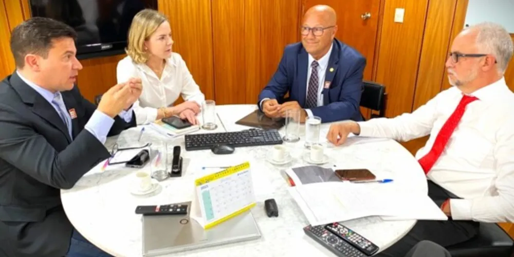 Da esquerda para a direita: Arilson Chiorato, Gleisi Hoffmann, Luiz Claudio Romanelli e Maurício Muniz