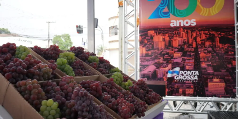 As variedades locais são Niágara Branca, Rosada e Bordô