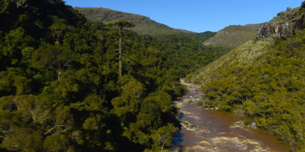 Parque Estadual do Guartelá, em Tibagi, nos Campos Gerais