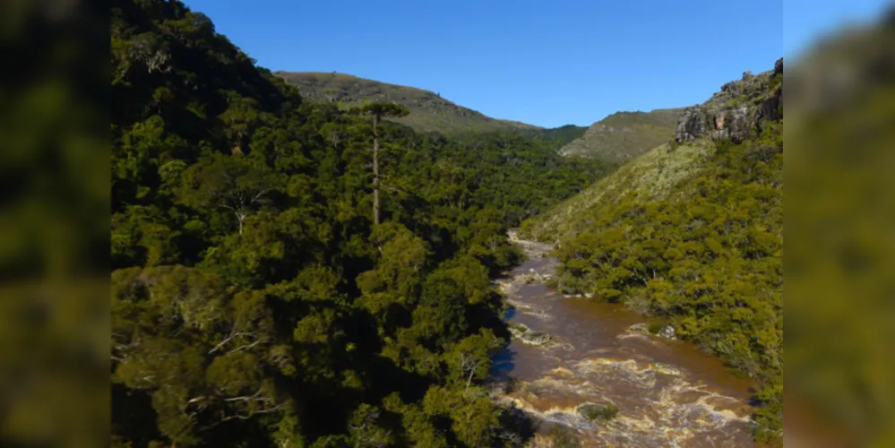 Parque Estadual do Guartelá, em Tibagi, nos Campos Gerais