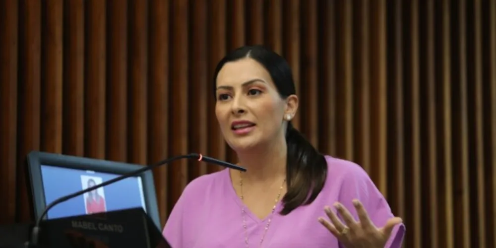 A deputada estadual e nova líder da bancada feminina da Assembleia Legislativa do Paraná, Mabel Canto