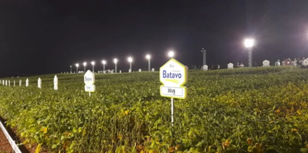 Evento acontece no período noturno por conta da época da colheita e visa facilitar a rotina dos produtores