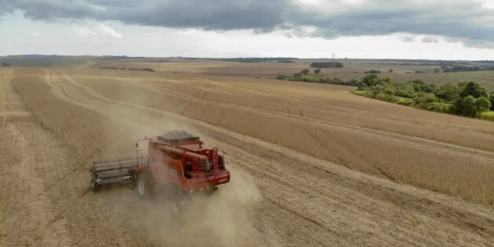 A soja já começou a ser colhida nos municípios mais ao norte da região dos Campos Gerais