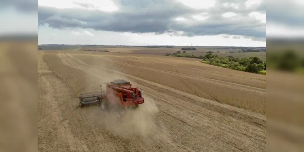 A soja já começou a ser colhida nos municípios mais ao norte da região dos Campos Gerais