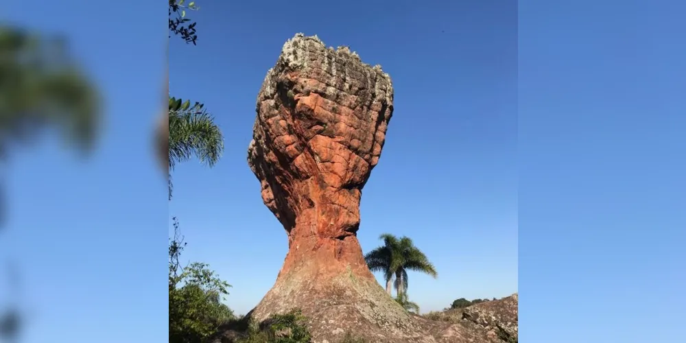 Visitas no parque novamente bateram recorde