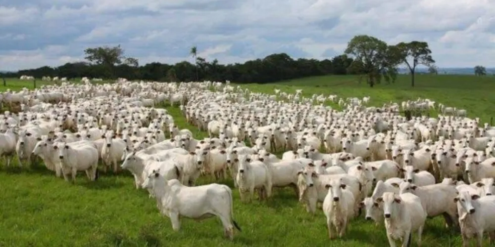 O crime aconteceu no mês de novembro em Imbituva