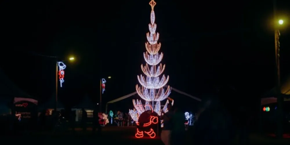 Pedidos foram deixados na árvore dos desejos Gondaski e nos terminais do transporte público de Ponta Grossa