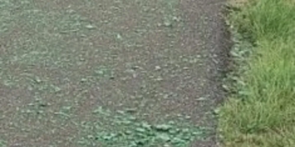 Acostamento da rodovia está tomado por cacos de vidro