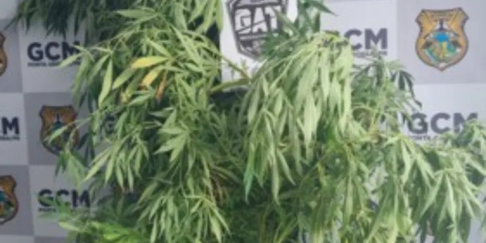 O caso aconteceu nesta terça-feira (17), em uma residência do Parque das Andorinhas