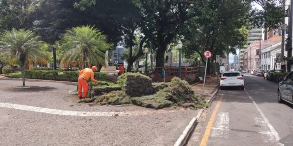 A primeira ação da reforma é o replantio da grama do local.