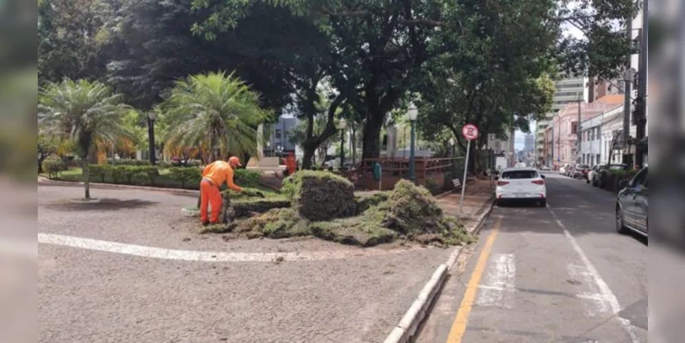 A primeira ação da reforma é o replantio da grama do local.