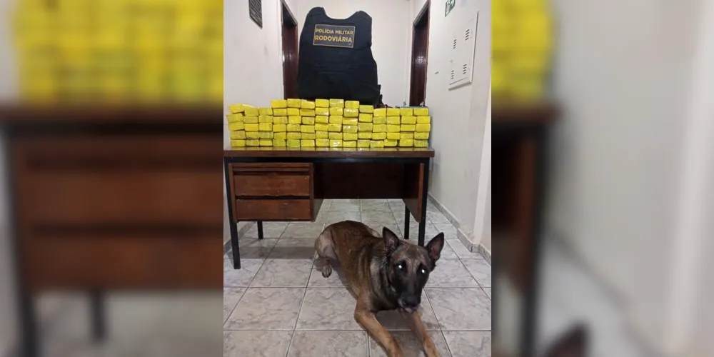 Nenhuma droga passa desapercebida ao faro de Maximus (foto)