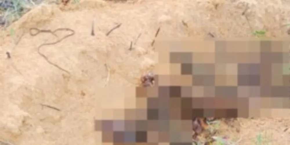 Funcionários que faziam uma manutenção elétrica se depararam com a ossada