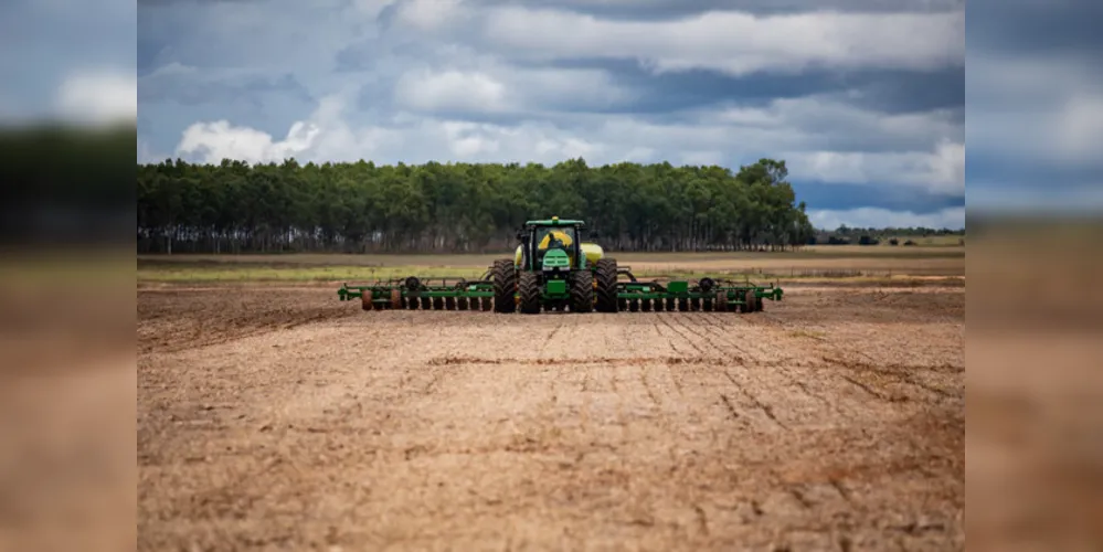 Até o momento, conforme levantamento do Conselho, não houve autuações de produtores na safra de verão, na região dos Campos Gerais