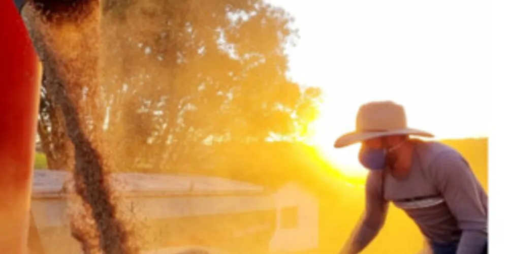 Suplemento especial está encartado na edição desta quinta-feira do Jornal da Manhã