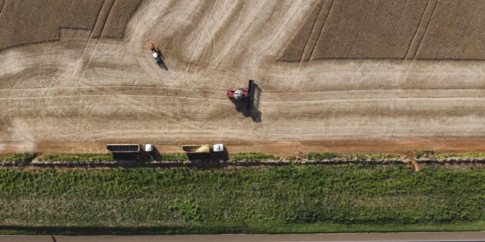 Castro, maior produtor de leite do Brasil, registrou o 53º maior Valor Adicionado do Agro no Brasil
