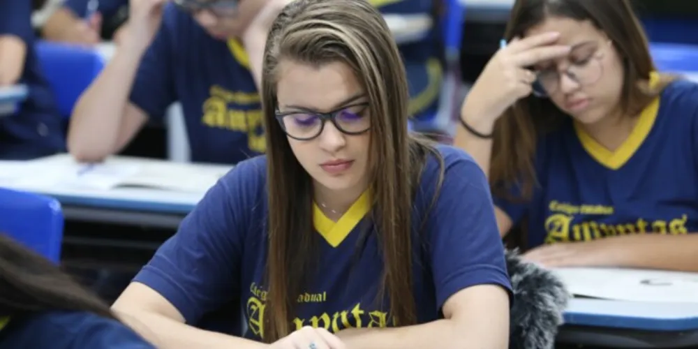 No Ideb do ensino médio de 2017, o Estado tinha o índice de 3,7 e dividia a sétima posição com o Tocantins