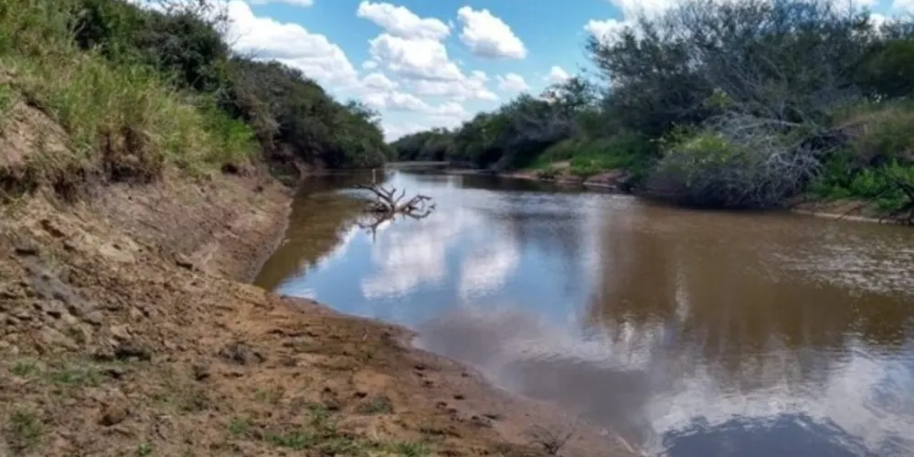 Conforme informações da Defesa Civil, 317 município decretaram emergência por conta da falta de chuvas