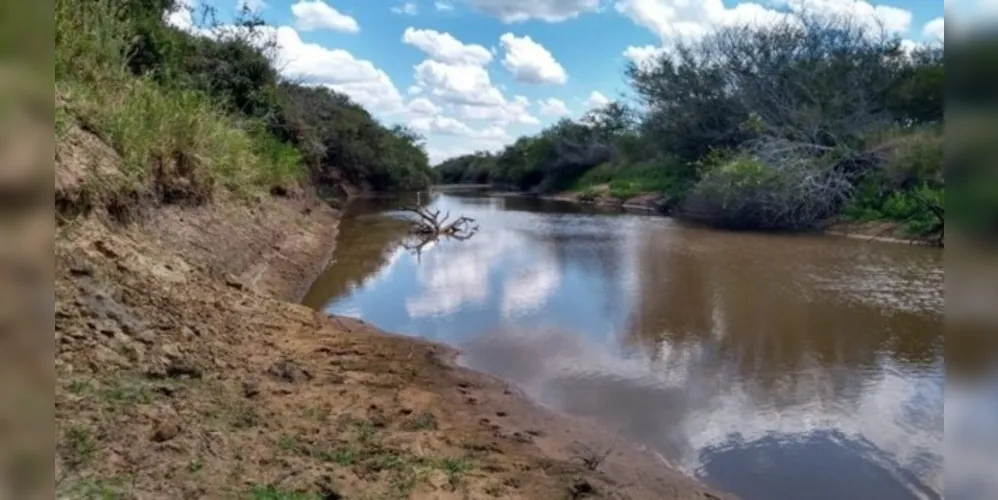 Conforme informações da Defesa Civil, 317 município decretaram emergência por conta da falta de chuvas