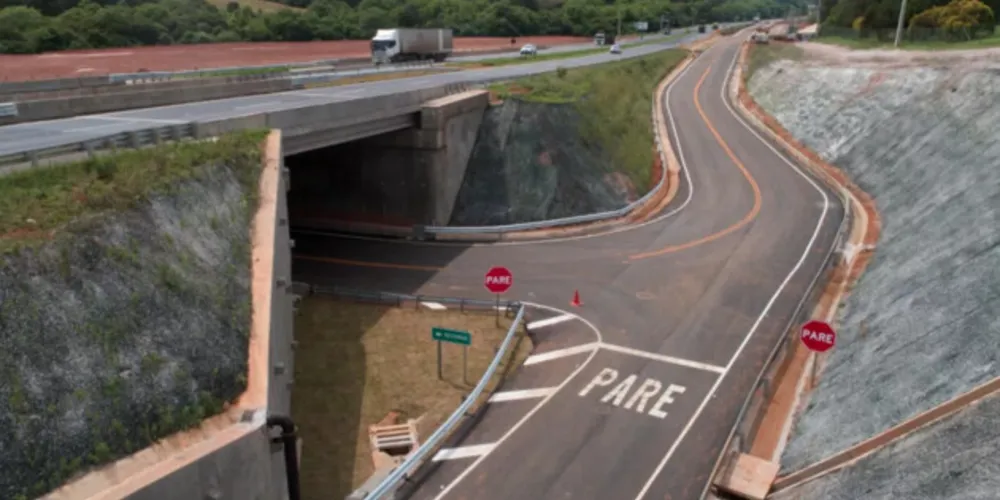 Caso foi registrado na BR-376 em Ponta Grossa