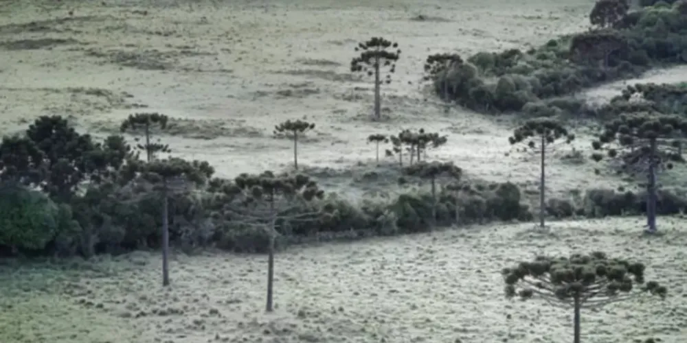 Algumas regiões de Santa Catarina têm alerta de baixa umidade relativa do ar nesta quinta-feira, variando entre 30% e 20%, o que pode trazer riscos à saúde