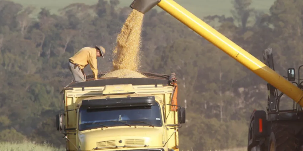Estimativas para segunda safra no Pr são divulgadas