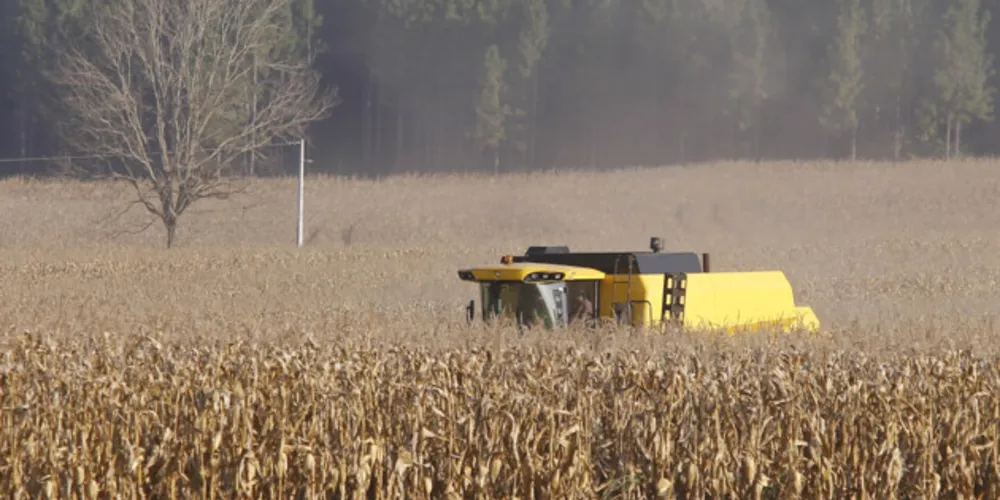 Colheita de milho na região de Campo Mourão, norte do Paraná