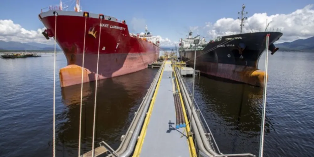 Em 2022, 58.399.109 toneladas de cargas foram carregadas e descarregadas pelos portos de Paranaguá e Antonina. O volume é 1,53% maior que o registrado em 2021, o maior registro anterior ( 57.519.879 toneladas).