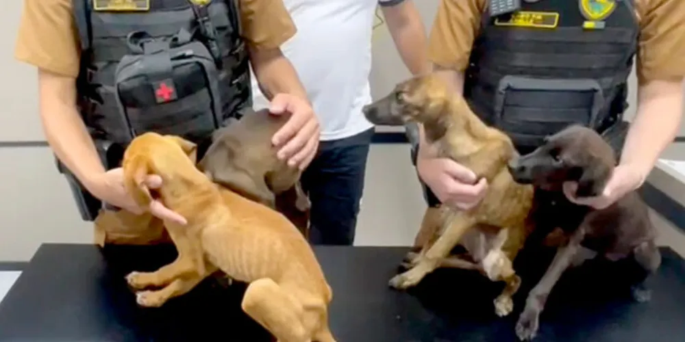 Policiais civis e militares prendem mulher e apreende adolescente por maus-tratos a animais em Matinhos