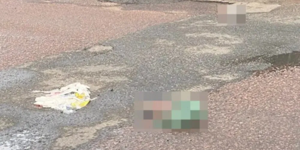 Alguns cachorros foram vistos arrastando os membros, que devem ser levados para o Instituto Médico Legal (IML)