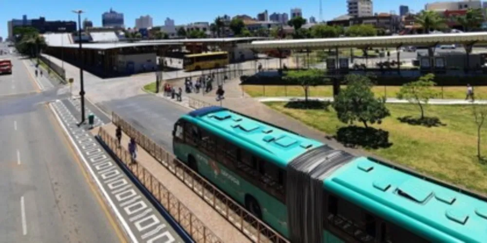 91,7% dos participantes acha fundamental que o transporte coletivo seja realizado por veículos menos poluentes