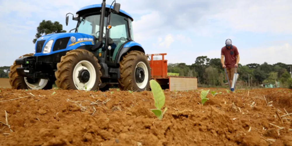Trator solidário em Plantação de fumo