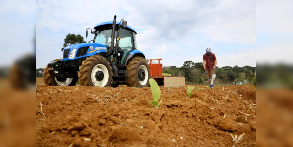 Trator solidário em Plantação de fumo