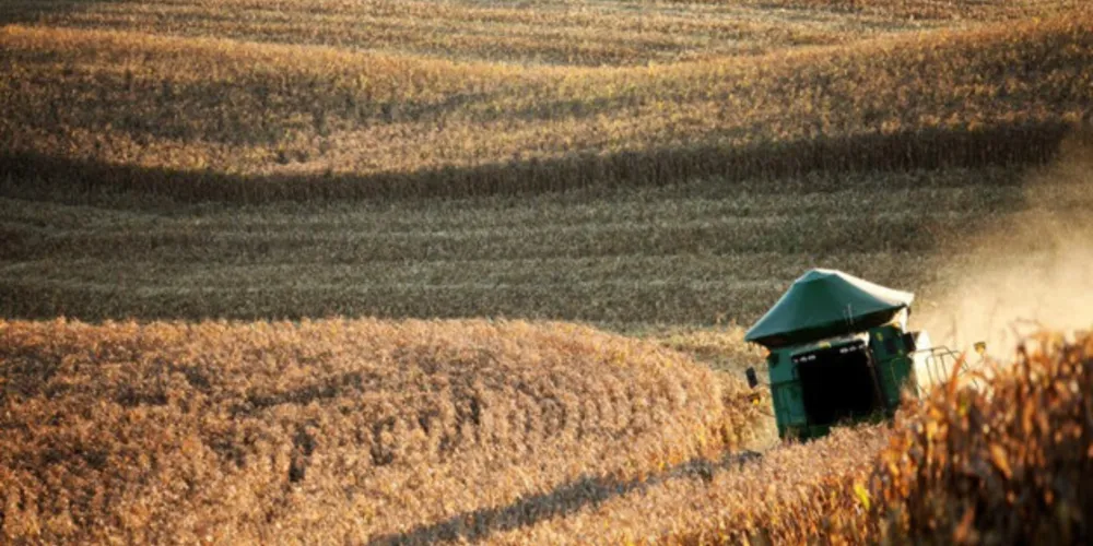 O VBP estimado para 2023 é 6,3% maior que o de 2022, podendo atingir R$ 1,263 trilhão.