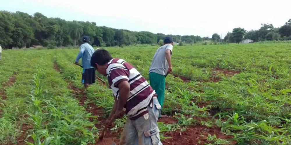 s recursos foram utilizados para viabilizar 2.075 projetos em diversas atividades do setor agropecuário