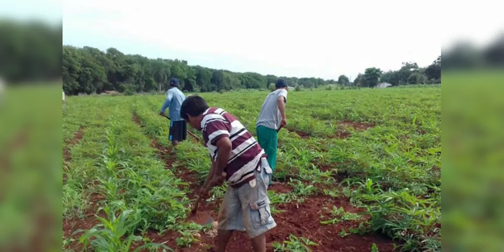 s recursos foram utilizados para viabilizar 2.075 projetos em diversas atividades do setor agropecuário