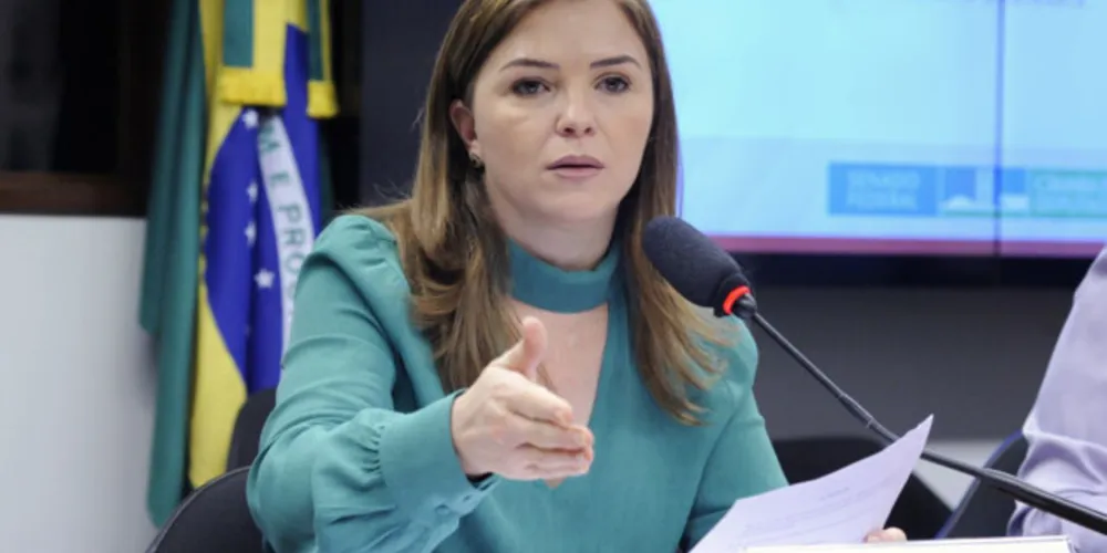 Leandre Dal Ponte era procuradora da Mulher na Câmara dos Deputados